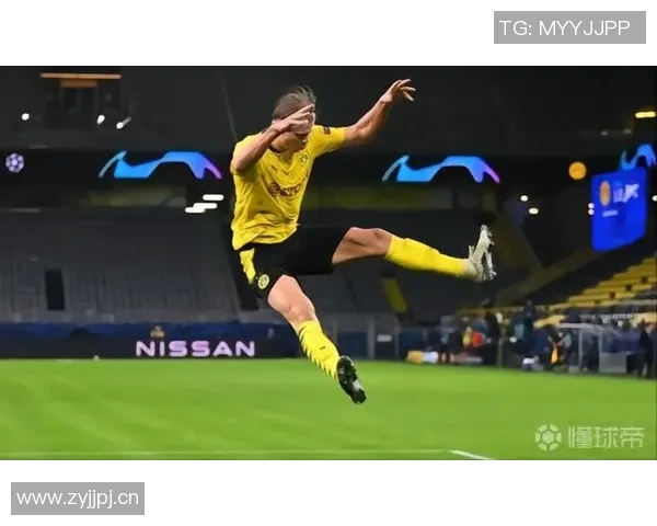 海于格谈加盟米兰的挑战与机遇哈兰德是挪威队的核心领袖